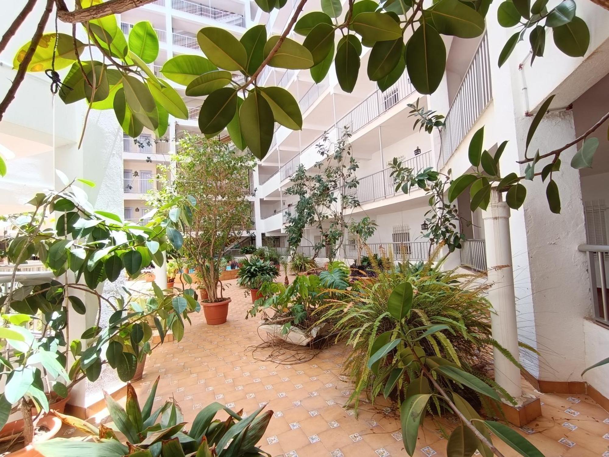 Amazing Beach Apartment Cullera Exteriör bild